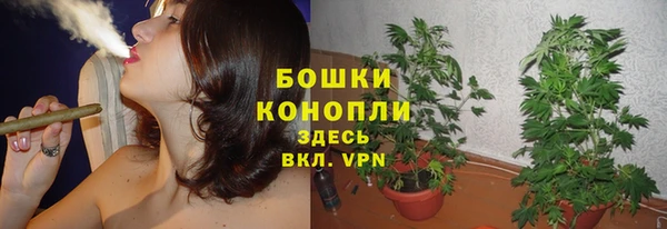 мяу мяу мука Осташков