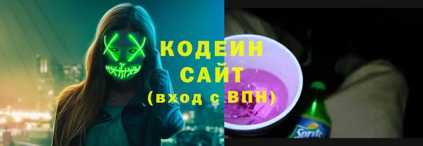 шишки Дмитровск