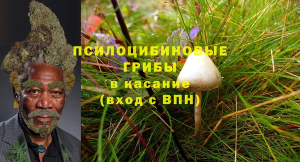 mdma Няндома