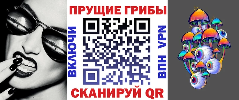 хочу   Новотроицк  Псилоцибиновые грибы Cubensis 