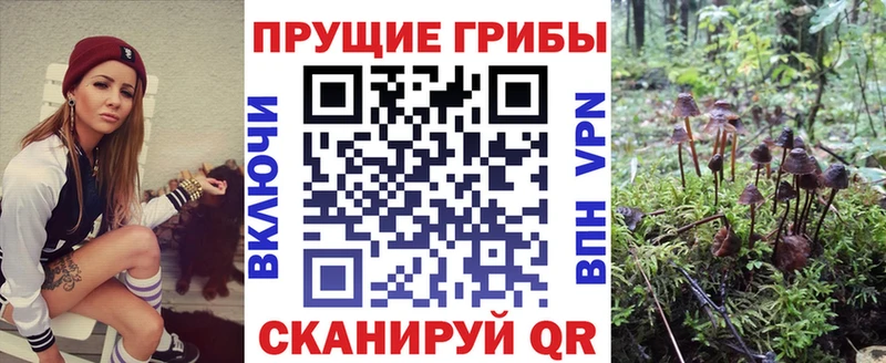 Псилоцибиновые грибы GOLDEN TEACHER Новотроицк