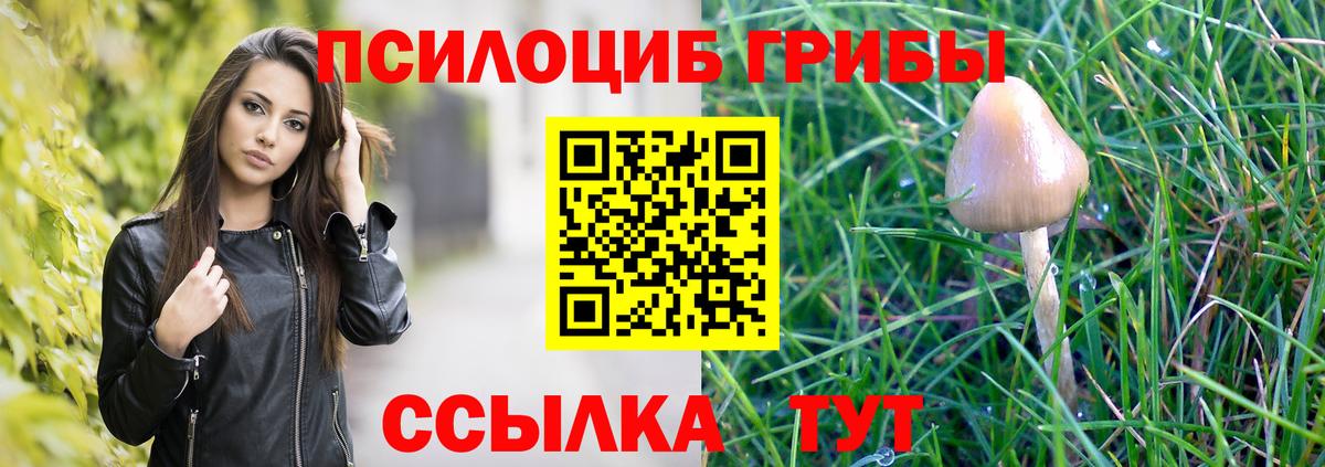 Галлюциногенные грибы Psilocybe Новотроицк
