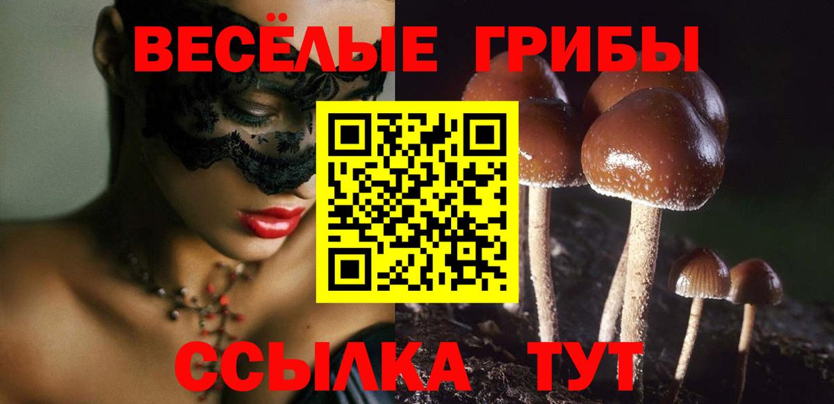 Новотроицк  Галлюциногенные грибы Psilocybine cubensis  Вход с VPN 
