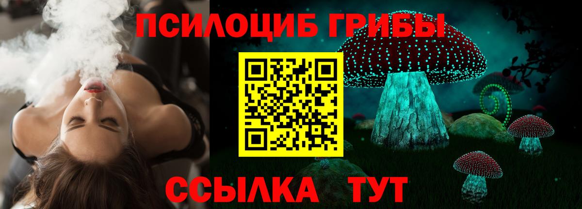 Галлюциногенные грибы MAGIC MUSHROOMS  Галлюциногенные грибы Cubensis  Новотроицк 