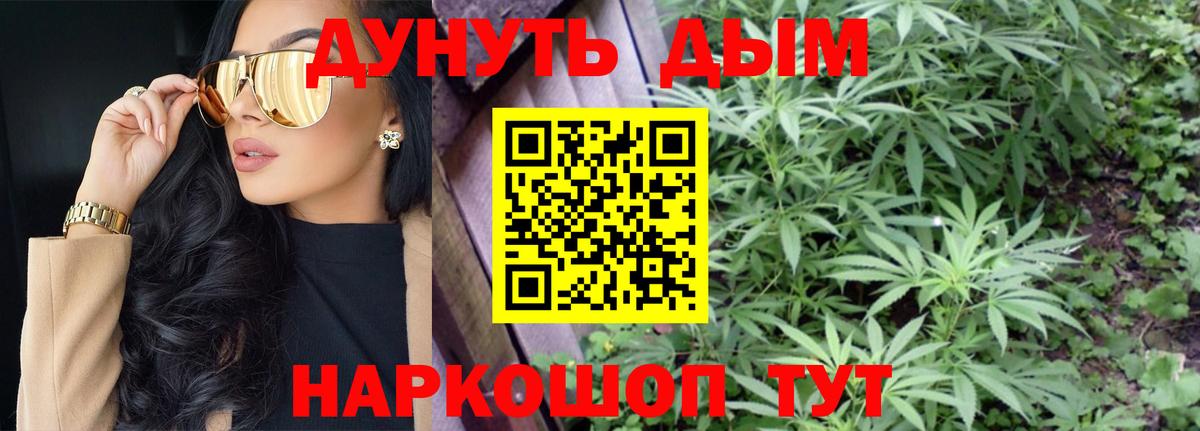 Бошки марихуана Amnesia Новотроицк
