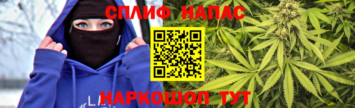 Конопля SATIVA & INDICA Новотроицк